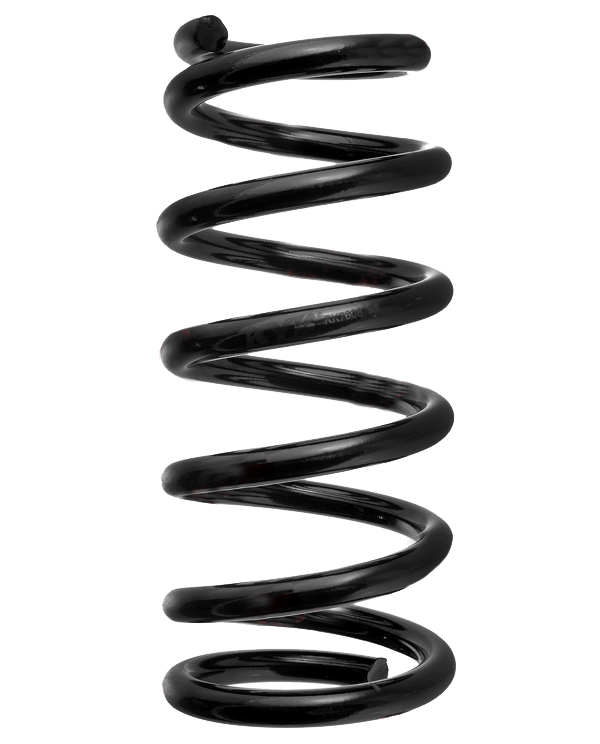 

Пружина Подвески Задняя K-Flex Honda Stream I (2000-2006) KYB арт. RK7608