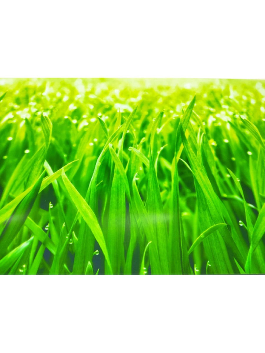 фото Кухонный фартук dellitas "трава " 2000*600 мм, абс пластик, термоперевод