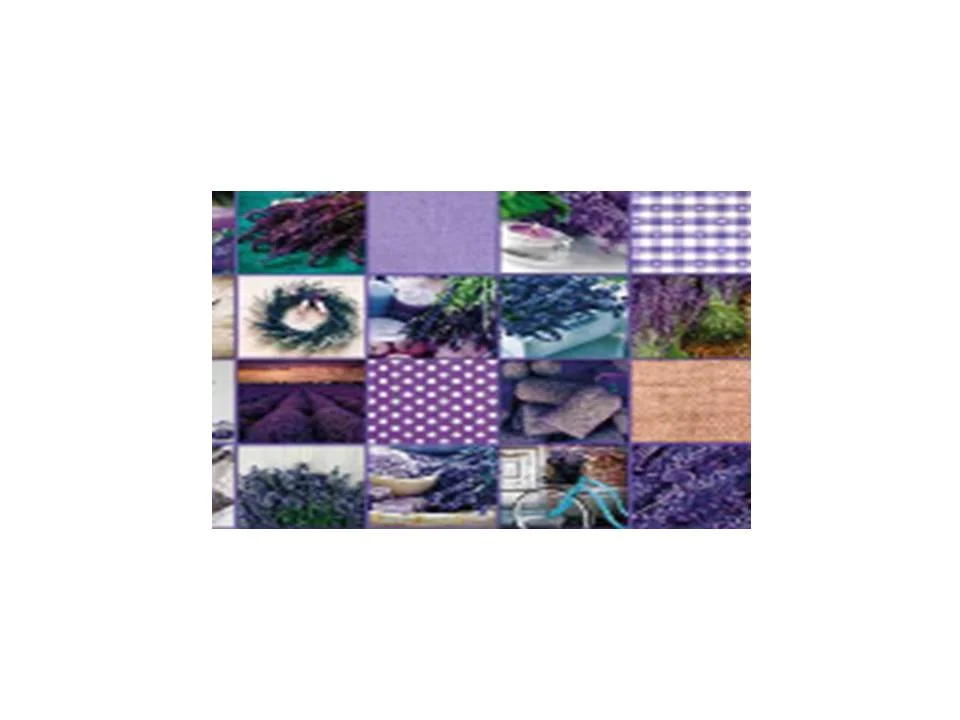 

Клеенка ПВХ FLORISTA Lineal на нетканой основе с печатным рисунком 1,4х20м 1309-00