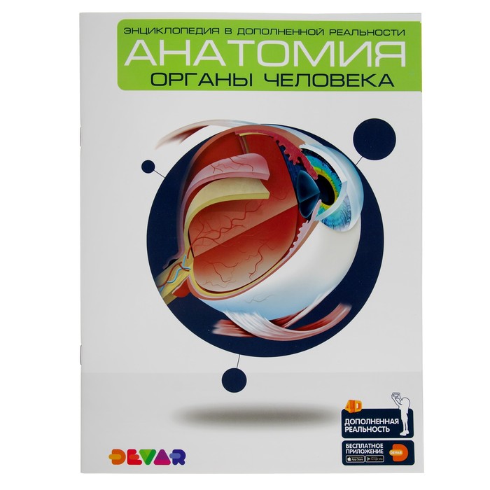 Devar kids в дополненной реальности «Анатомия: органы человека» А4