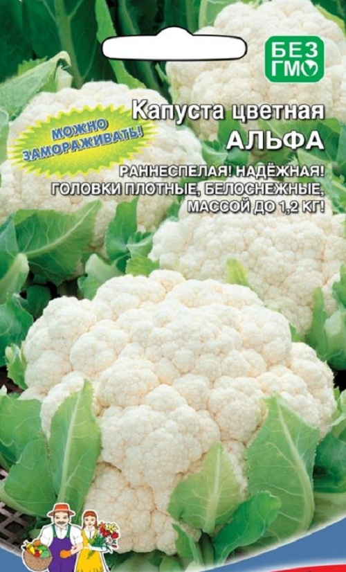 

Семена капуста цветная Русский огород Альфа 26870 1 уп.