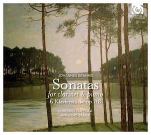 

Lorenzo Coppola: Brahms: Sonatas for Clarinet and Piano, 1 CD