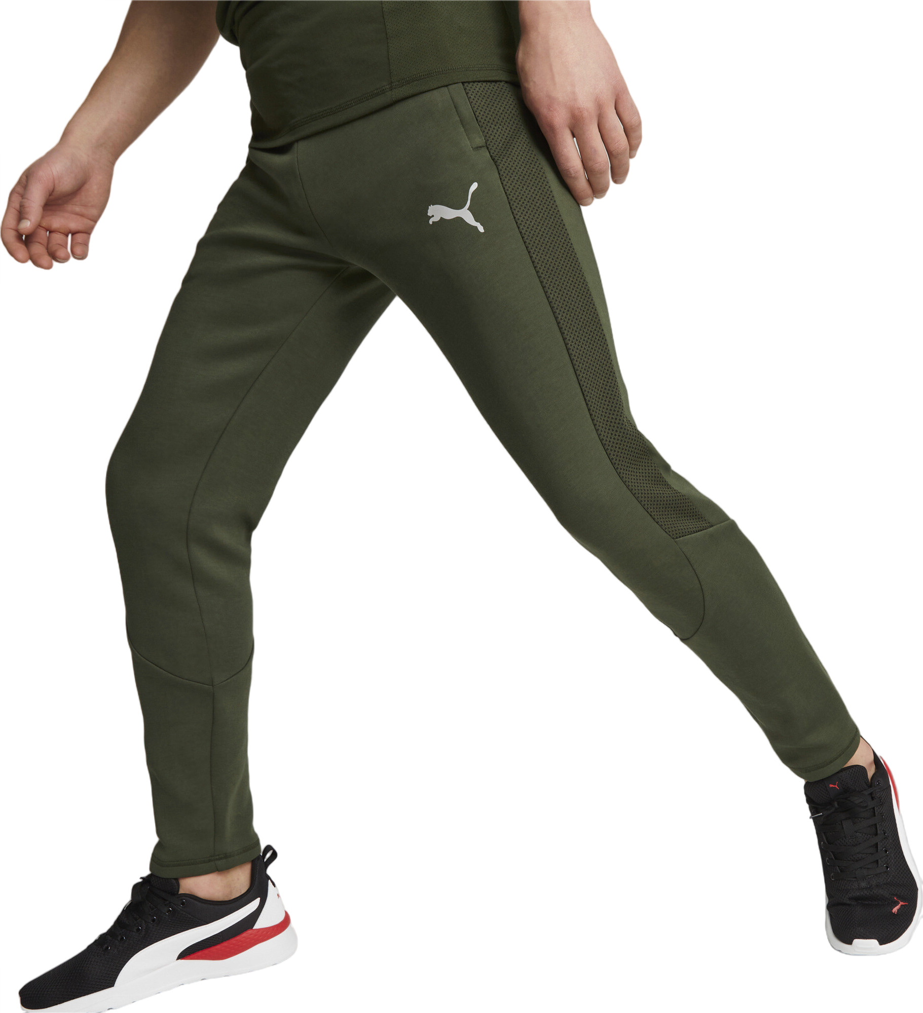 Спортивные брюки мужские PUMA EVOSTRIPE Pants DK зеленые L