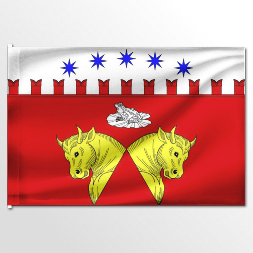 

Флаг ЦТП ФЕНИКС Звёздного Санкт-Петербург 135x90 см, 3019-135x90