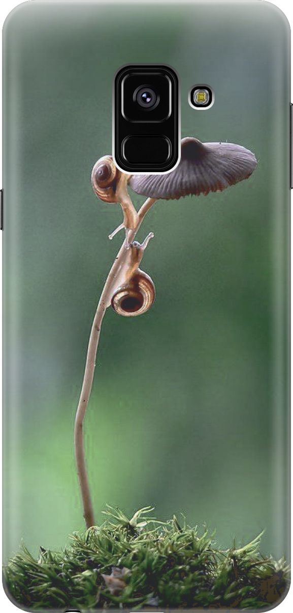 

Чехол на Samsung Galaxy A8+ (2018) с принтом "Две улитки", Зеленый;коричневый, 7219