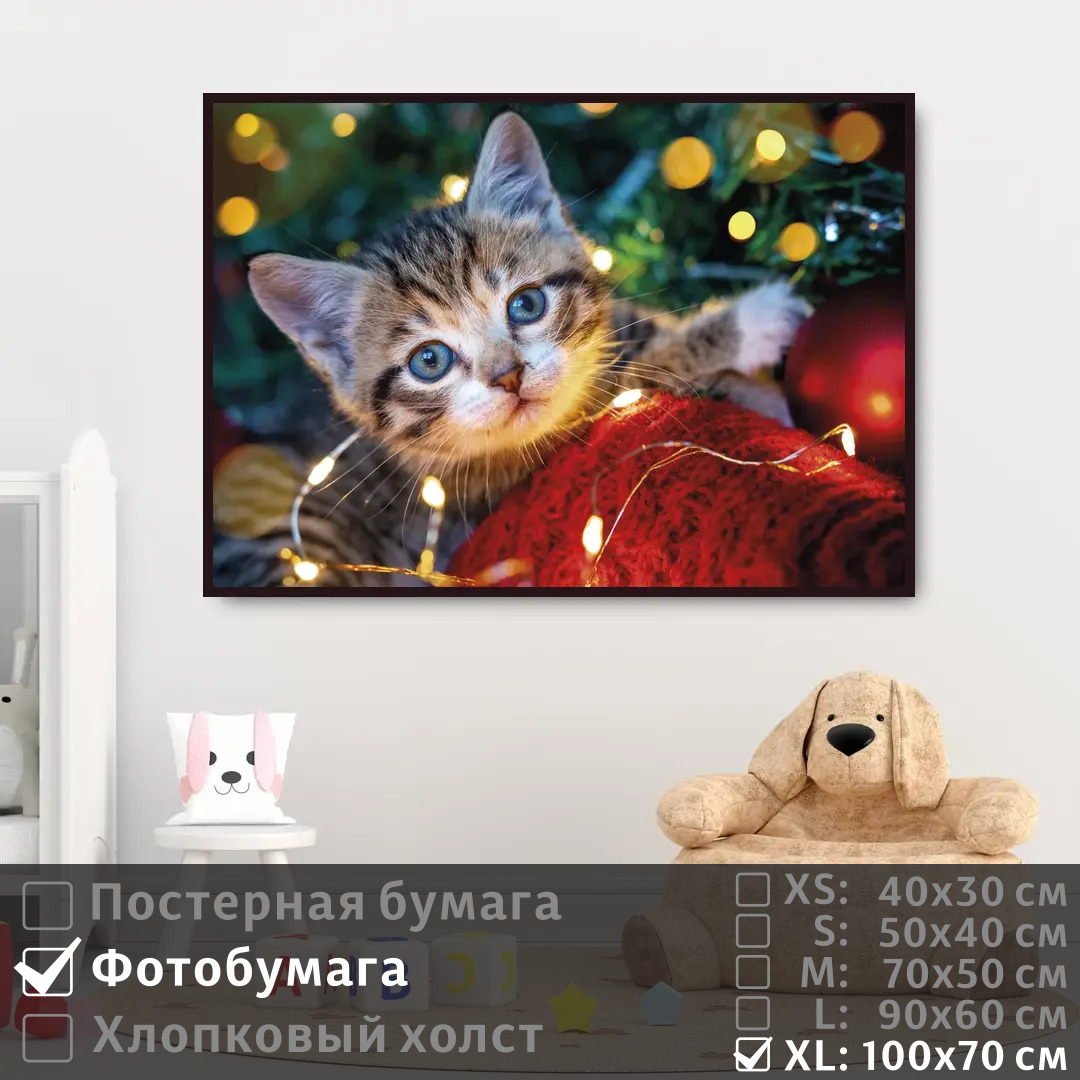 

Постер на фотобумаге ПолиЦентр Милый смешной котик на стену 100х70 см, МилыйСмешнойКотикНаСтену1