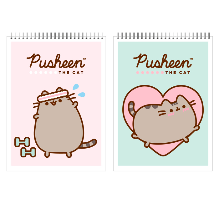 Блокнот 40 л 40л А7 Pusheen PS13/2-EAC