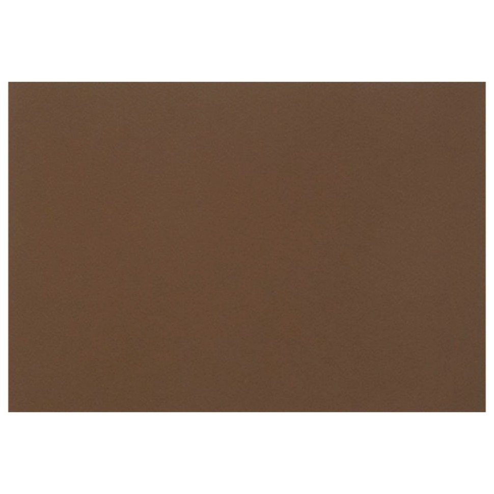 Набор из 10 шт, Бумага для пастели (1 лист) FABRIANO Tiziano А2+ (500х650 мм) (129944)
