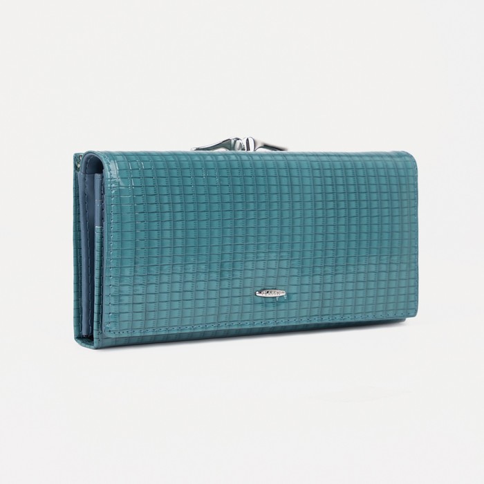 

Кошелек женский NoBrand 9278337, бирюзовый, Голубой, 9278337