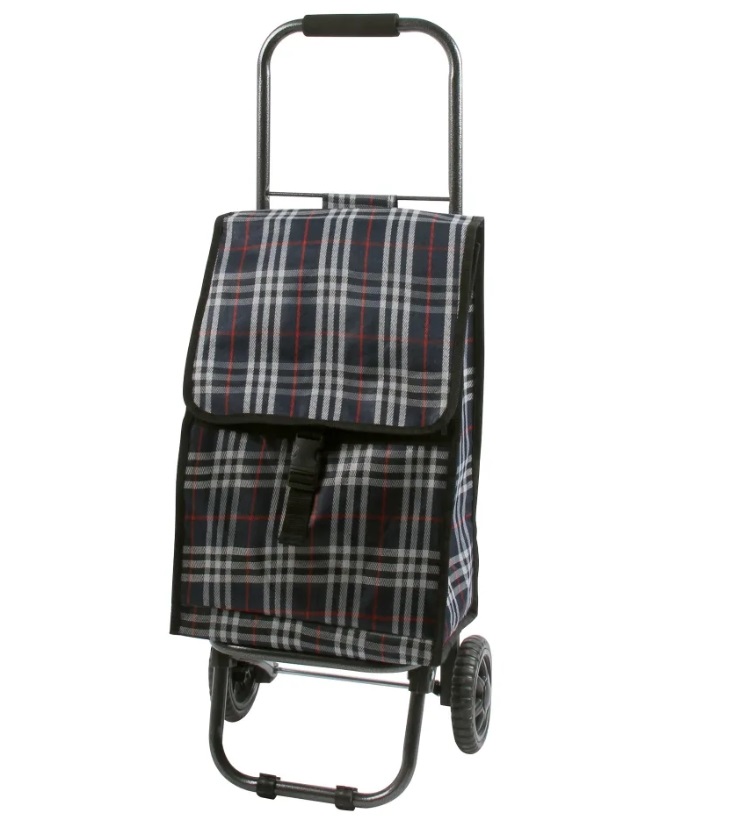 Тележка с сумкой Рыжий кот D203ECO Tartan 2639₽