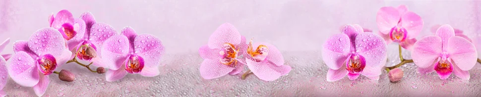 фото Панель-фартук авс уф-печать лак цветы122 грациозные орхидеи 3000x600x1,5мм оптион