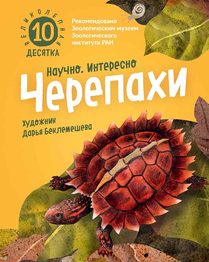 

Черепахи
