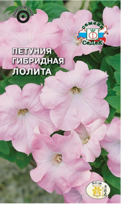 

Семена цветов Седек Петуния Лолита F1 36523 1 уп.
