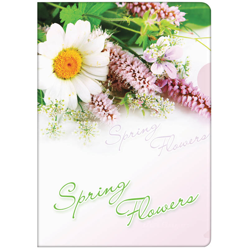 фото Папка-уголок а4 "spring flowers", 180мкм berlingo