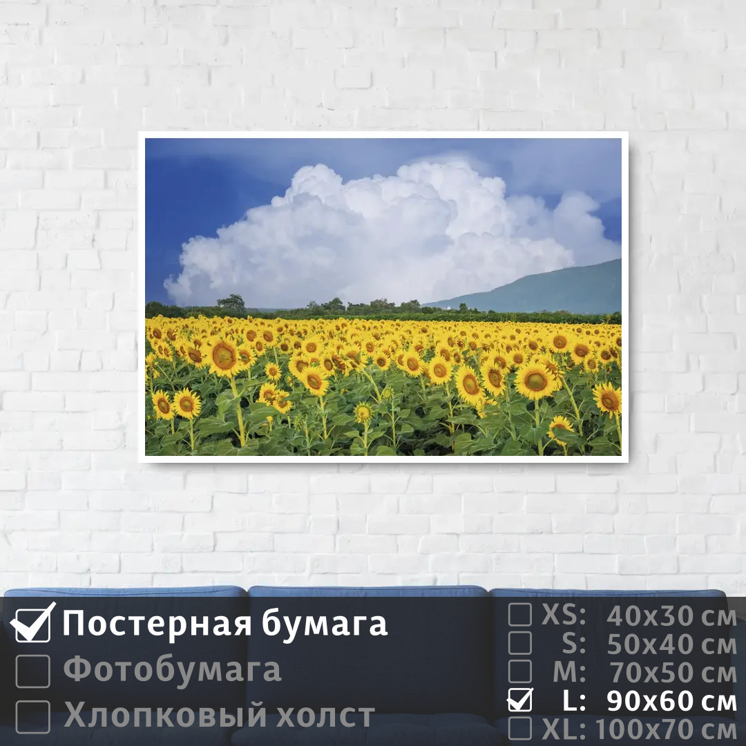 

Постер на стену ПолиЦентр Подсолнухи под голубым небом с облаками 90х60 см, ПодсолнухиПодГолубымНебомСОблаками