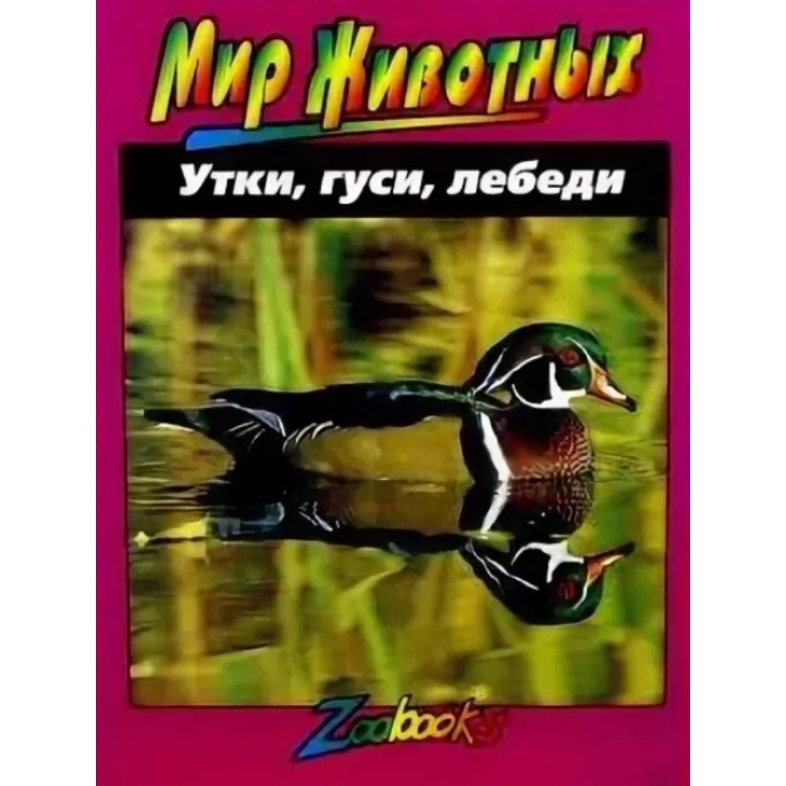 

Утки, гуси, лебеди, Мир животных