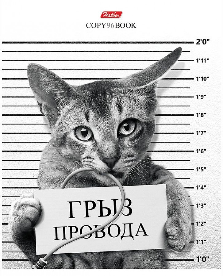 

Тетрадь общая в клетку Hatber Кот-обормот 96Т5В1, 96 л., 1 шт., 96Т5В1