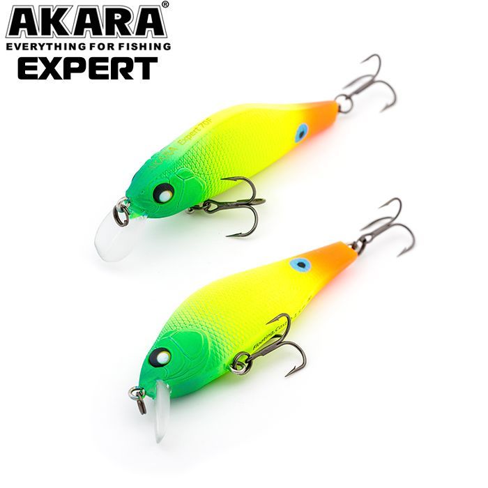 

Воблер Akara Expert 70F 9 гр 1/3 oz 2,8 in A113, Разноцветный, Expert