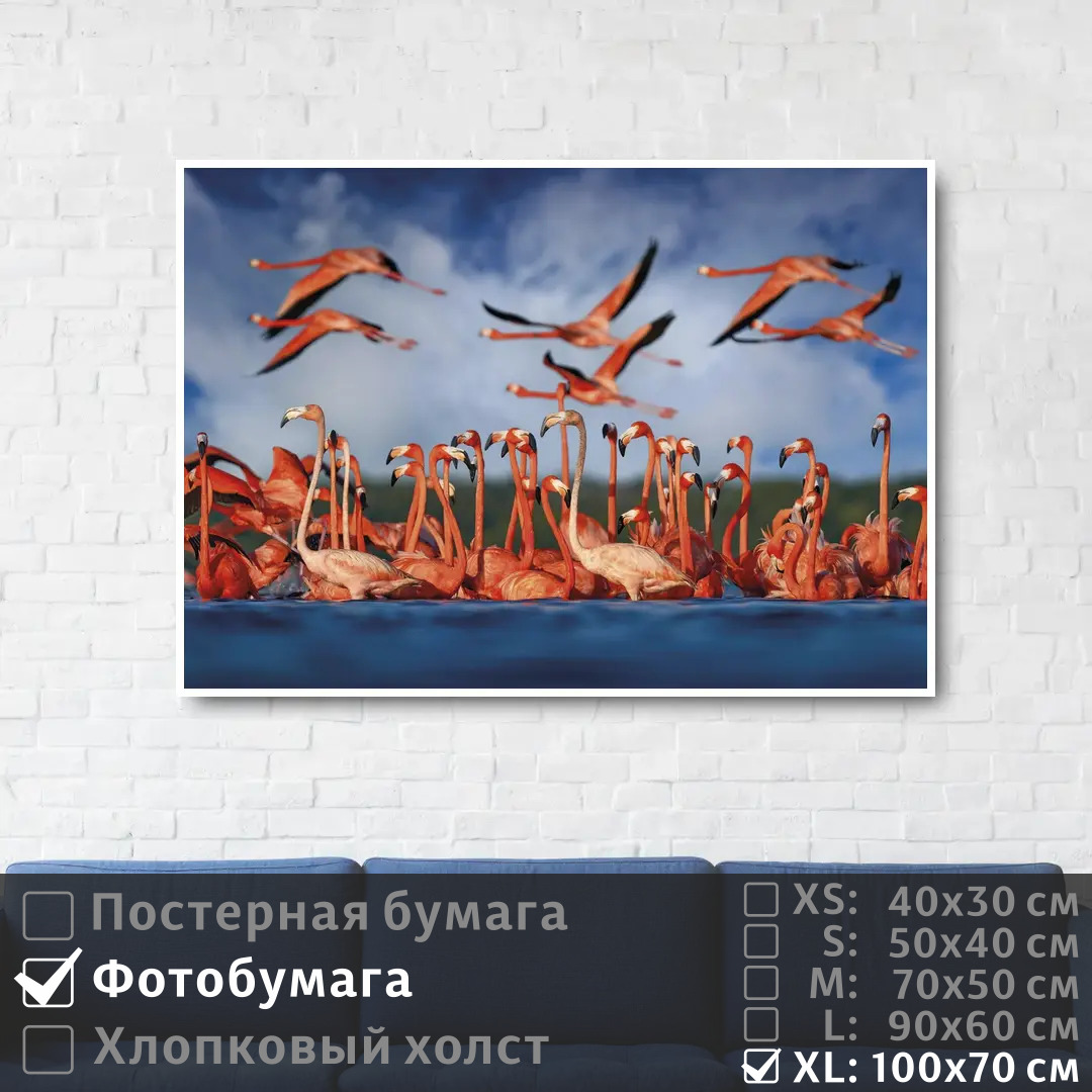 

Постер на фотобумаге ПолиЦентр Стая розовых фламинго у берега 100х70 см, СтаяРозовыхФламингоУБерега1