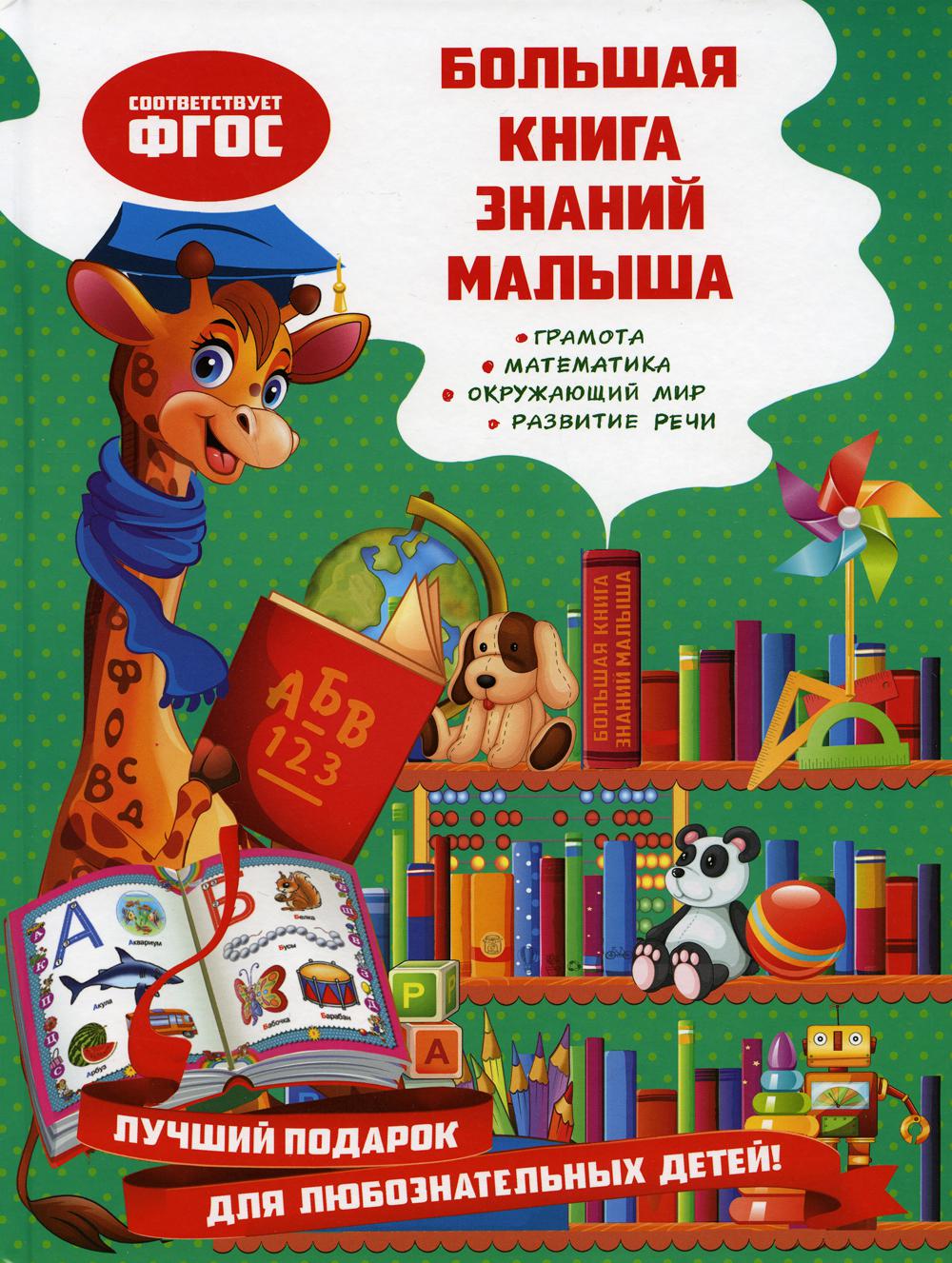 

Большая книга знаний малыша