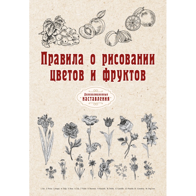

Правила о рисовании цветов и фруктов