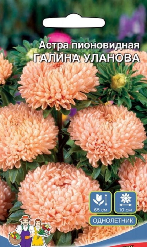 

Семена астра Русский огород Галина Уланова 26955 1 уп.