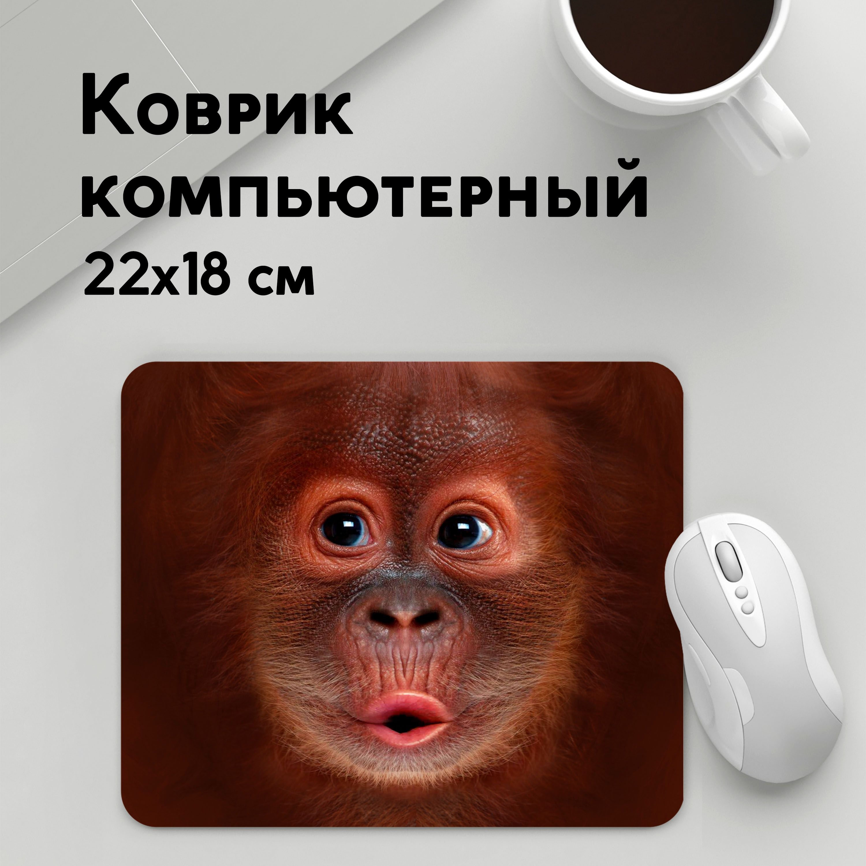 

Коврик для мышки PANiN Орангутанг BigFace (MousePad22x18UST1UST1389811)