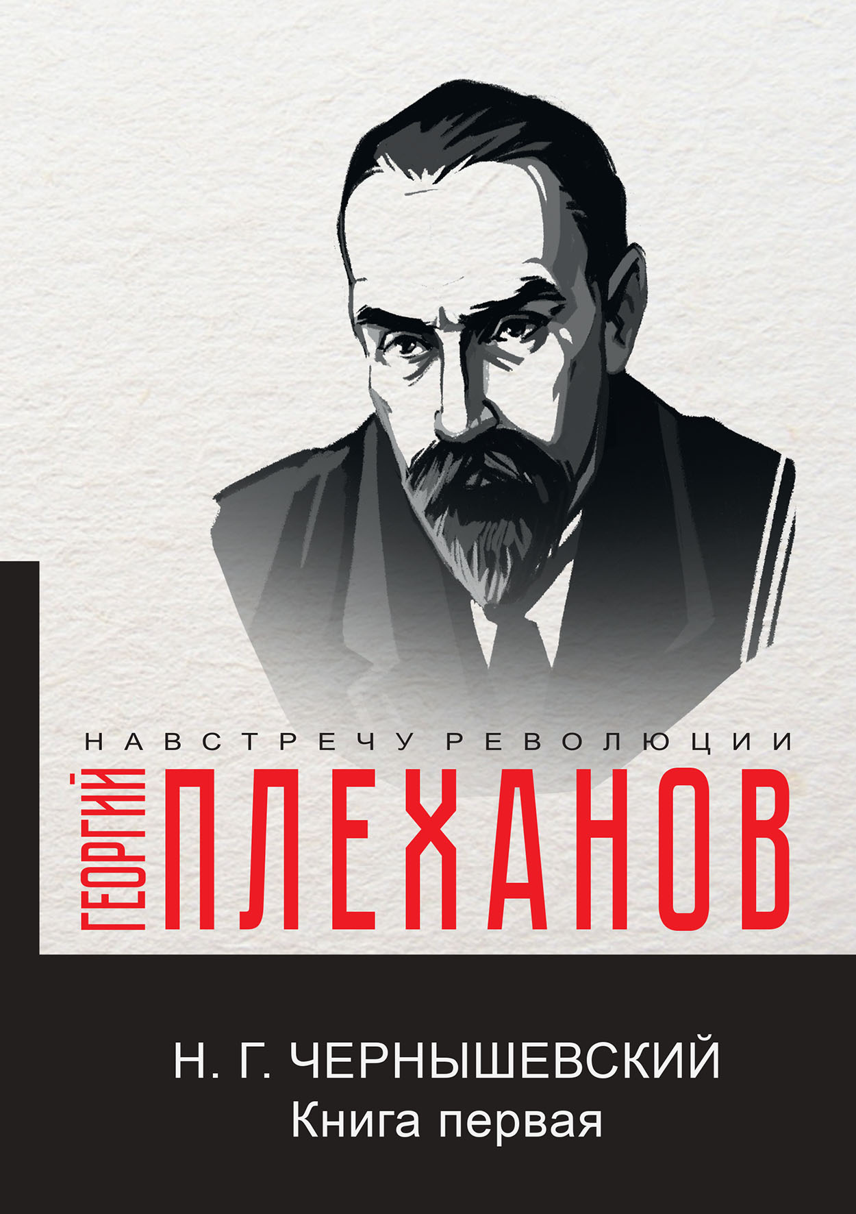 

Книга Н. Г. Чернышевский. Книга первая