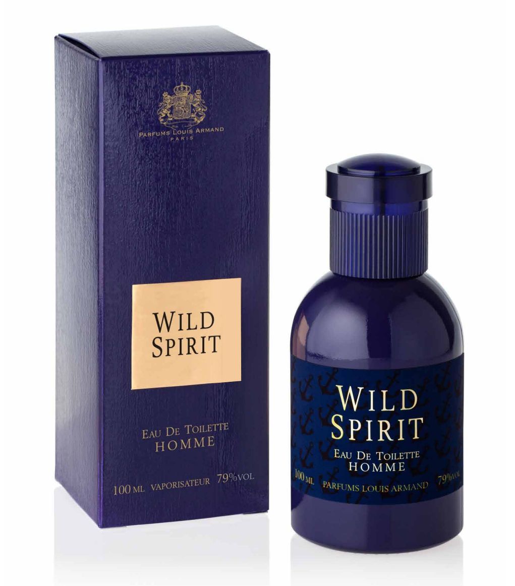 Туалетная вода мужская Parfums Eternel Wild Spirit 100 мл white spirit парфюмерная вода 8мл