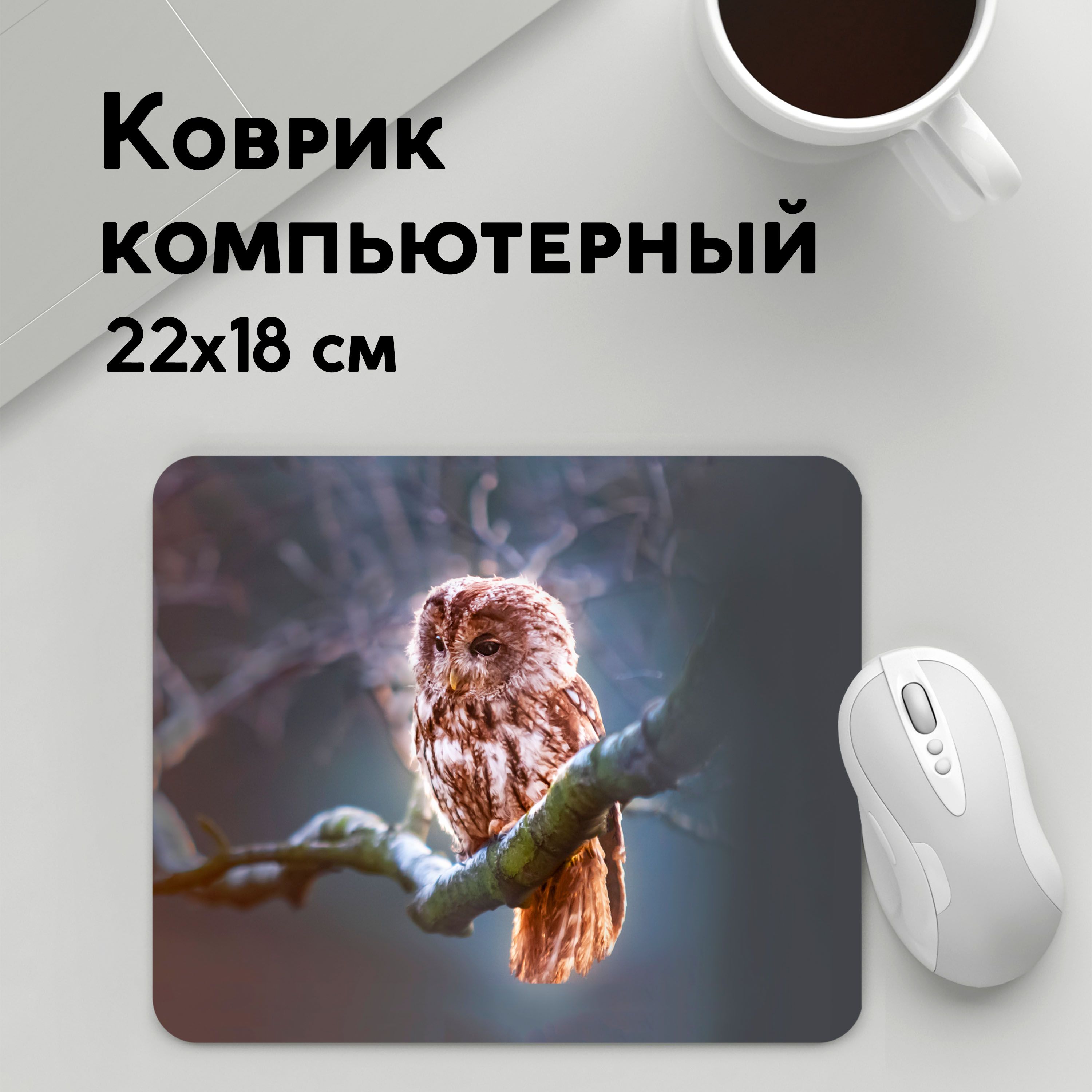 

Коврик для мышки PANiN Сова (MousePad22x18UST1UST1476159)