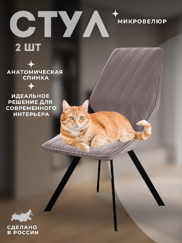 

Стул DikLine 242M B5 LATTE/ ножки черные, 2 шт., 242M