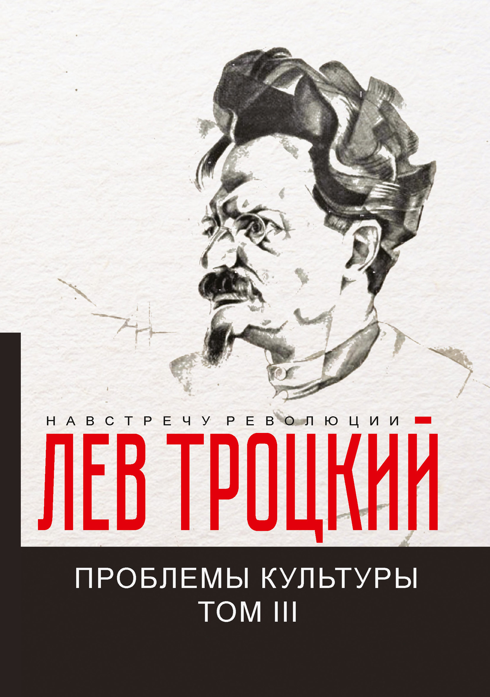 

Книга Проблемы культуры III
