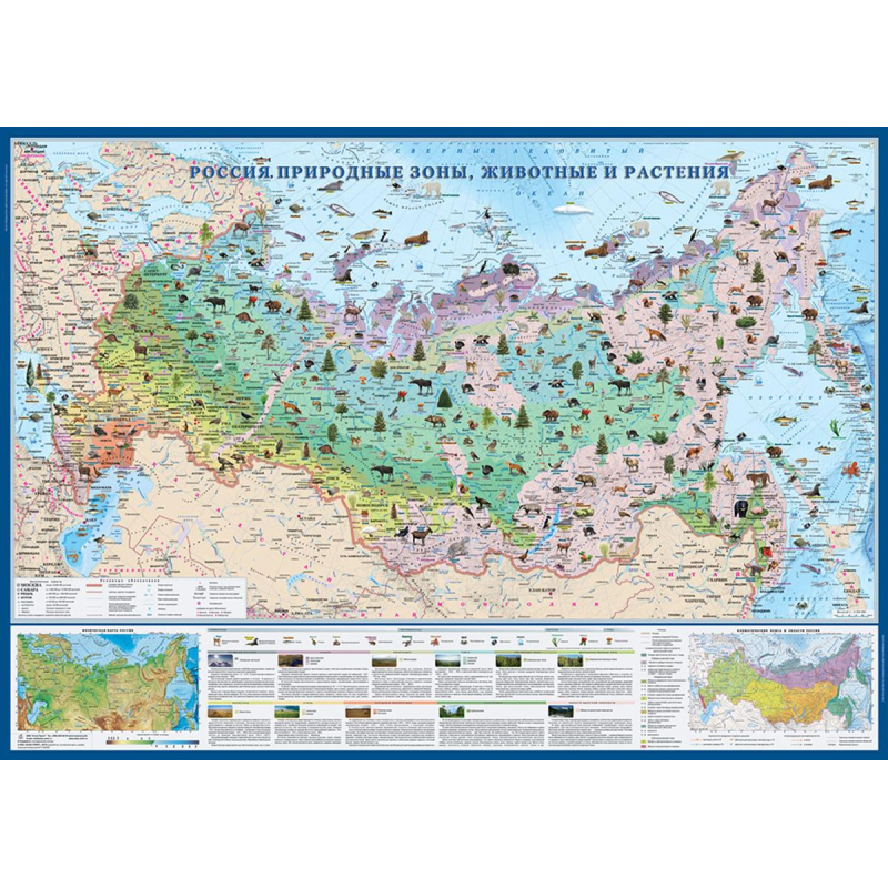 

Настенная карта Россия. Природные зоны, животные и растения 1,43х1,02м,КН82
