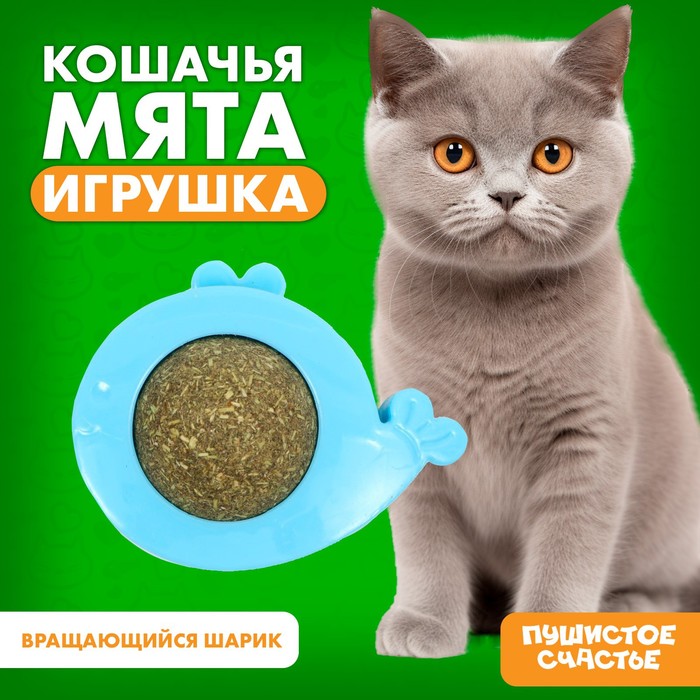 Игрушка для кошек Пушистое счастье Шарик, пластик, голубой, 11х14х2,5 см