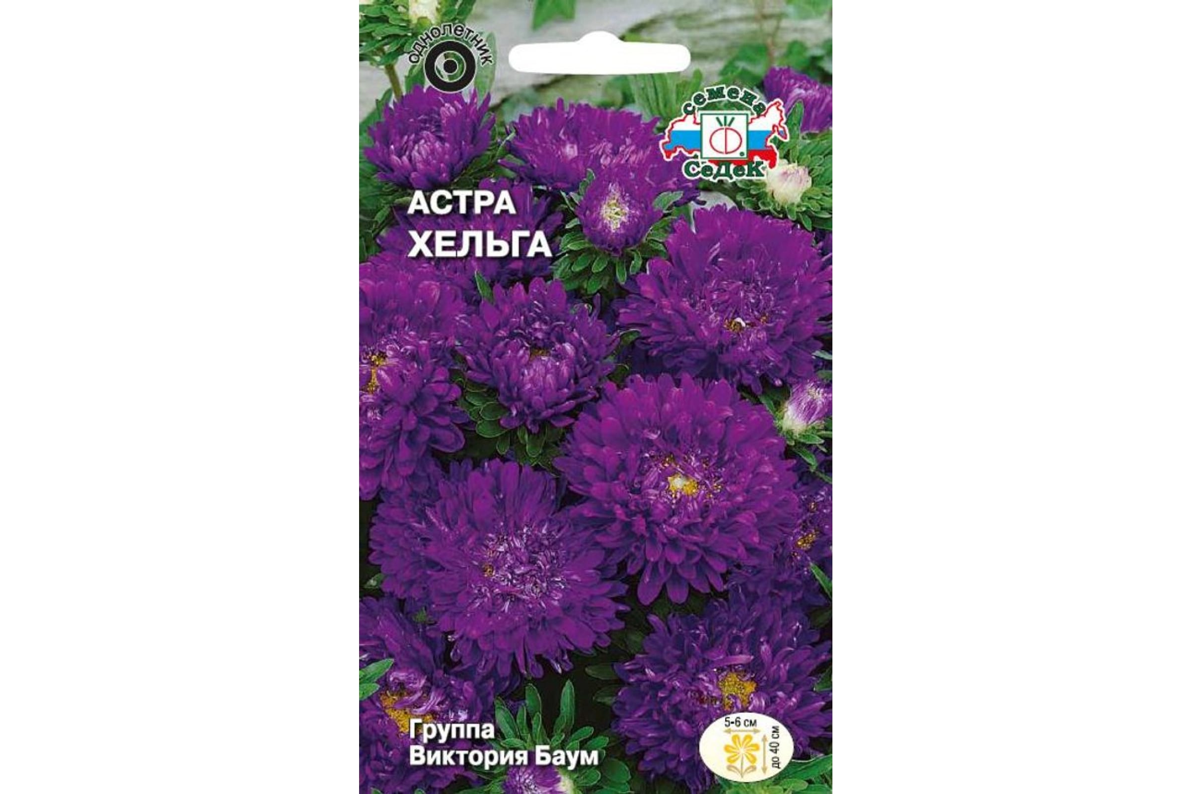 

СеДек цветок Астра Хельга 00000017107