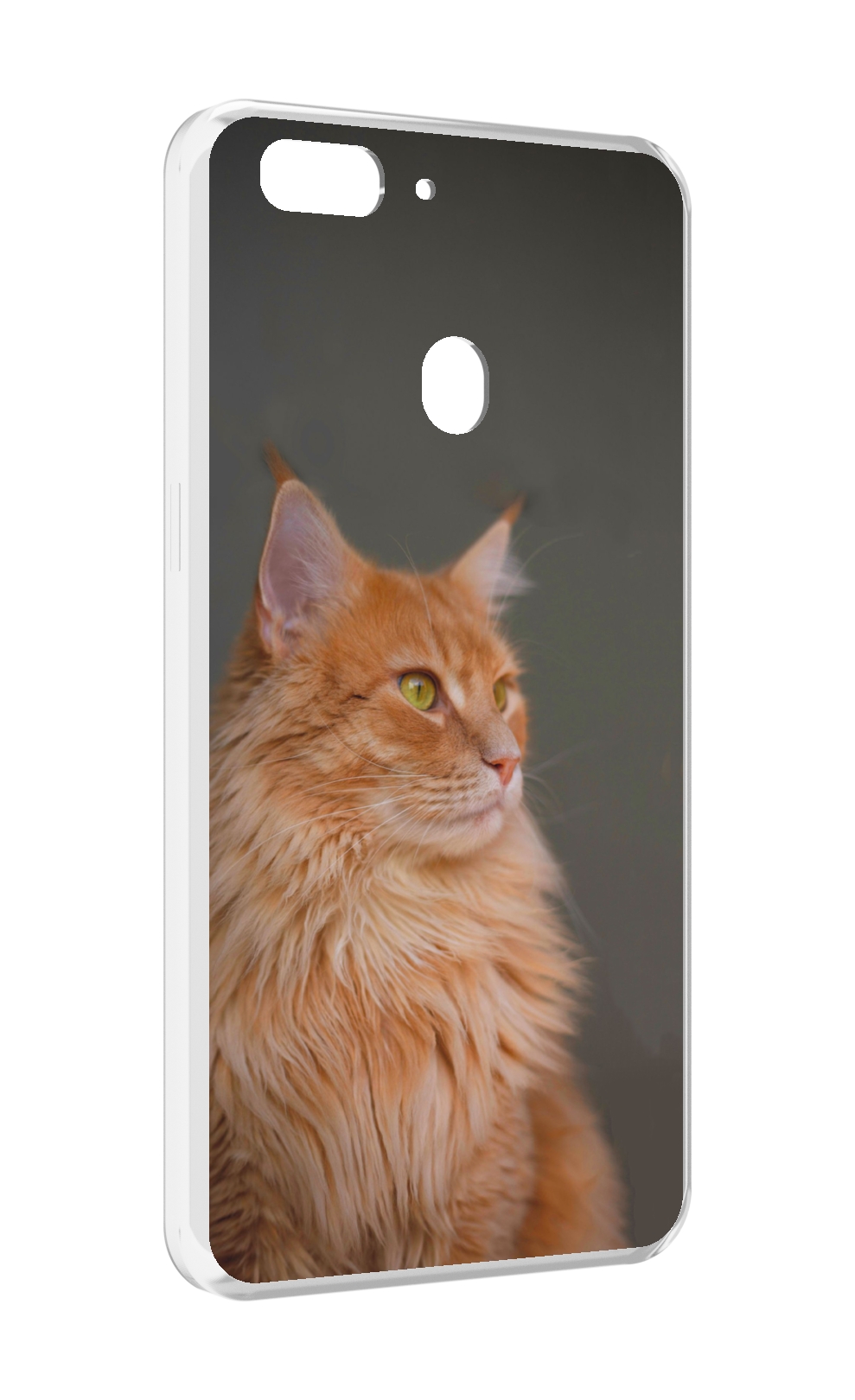 

Чехол MyPads кошка меин кун 1 для Oppo Realme 2, Прозрачный, Tocco