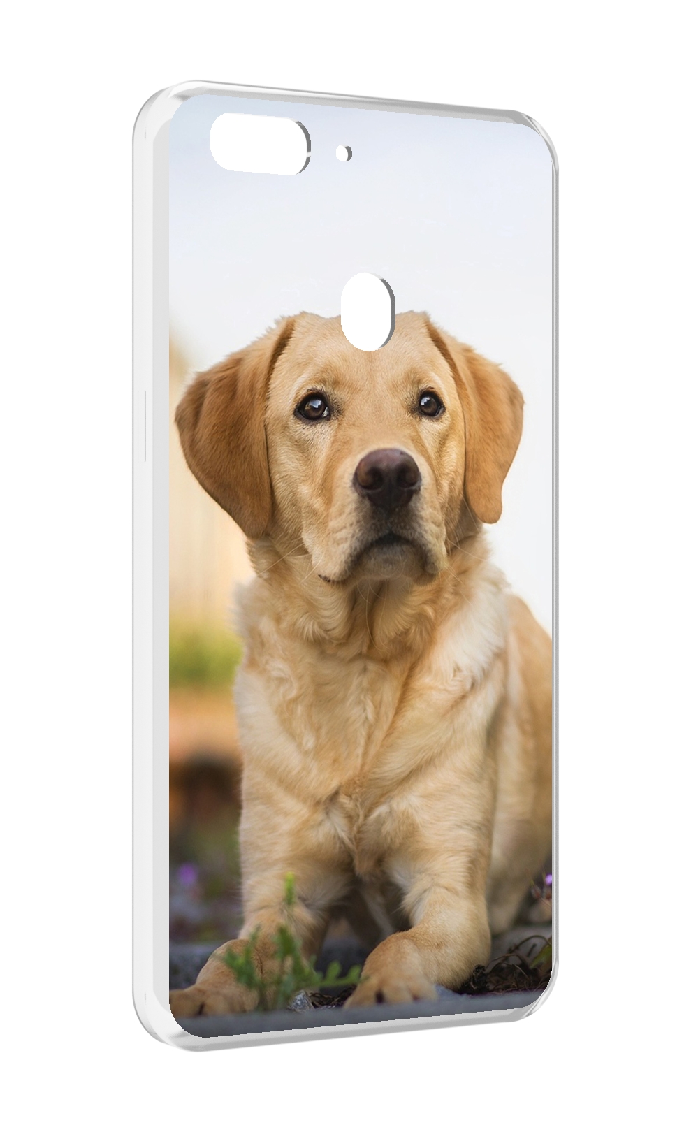 

Чехол MyPads лабрадор ретривер для Oppo Realme 2, Прозрачный, Tocco