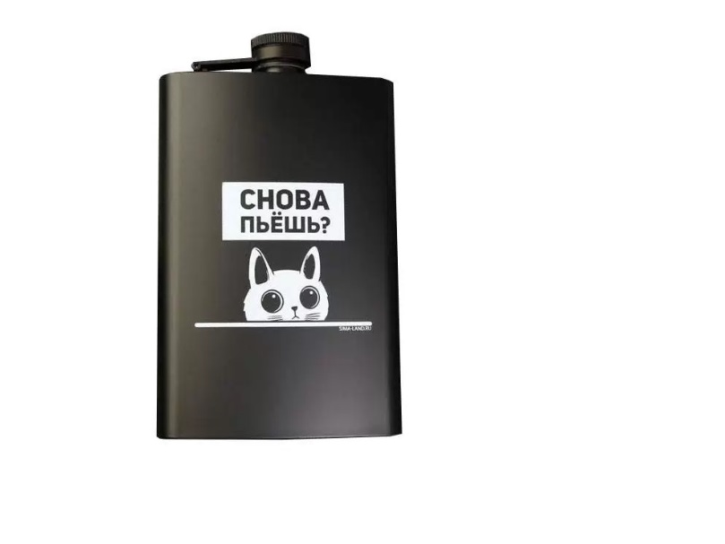 

Фляжка Снова пьешь, 270 мл, Черный, Снова пьешь