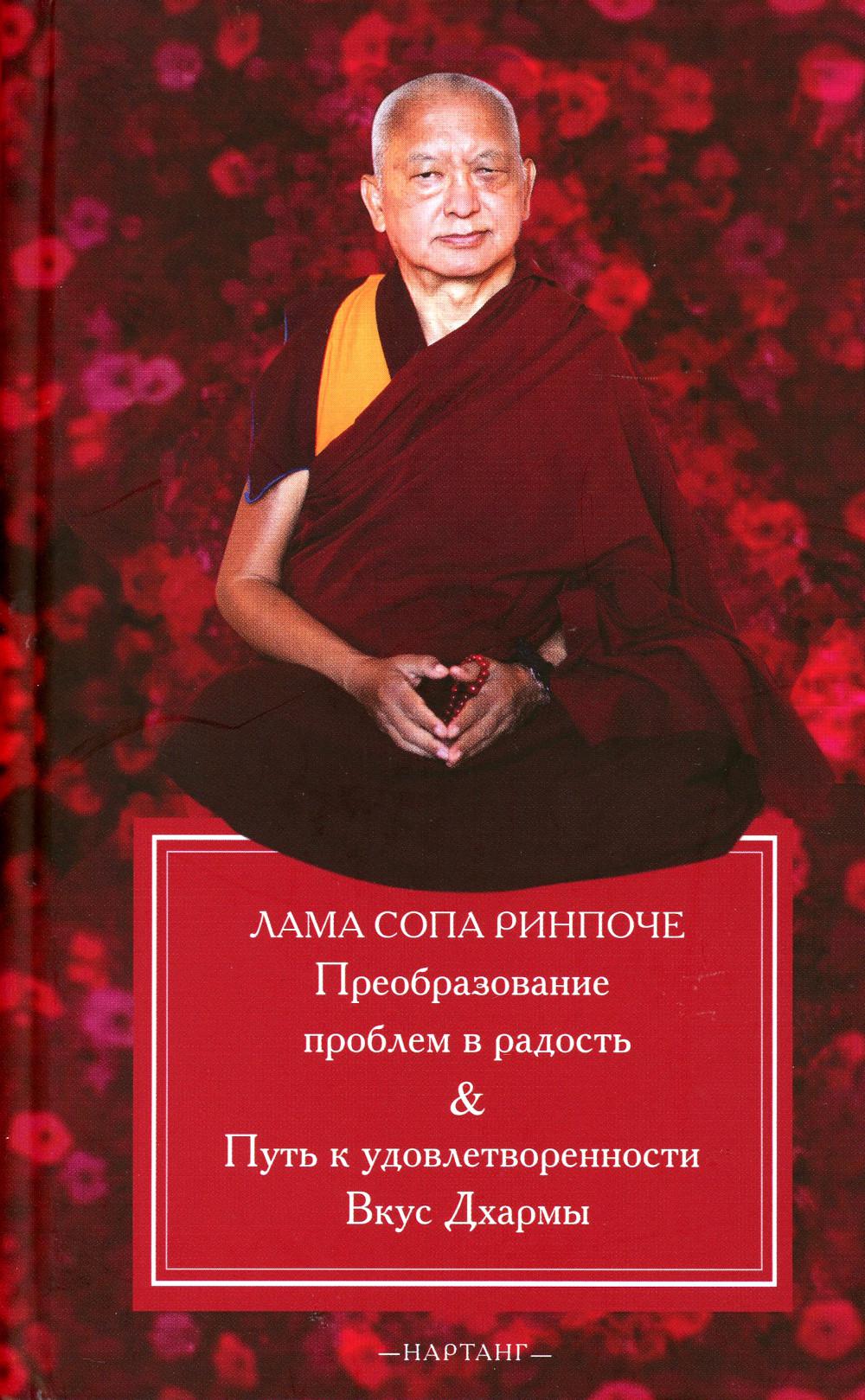 

Книга Преобразование проблем в радость. Путь к удовлетворенности (Вкус Дхармы)