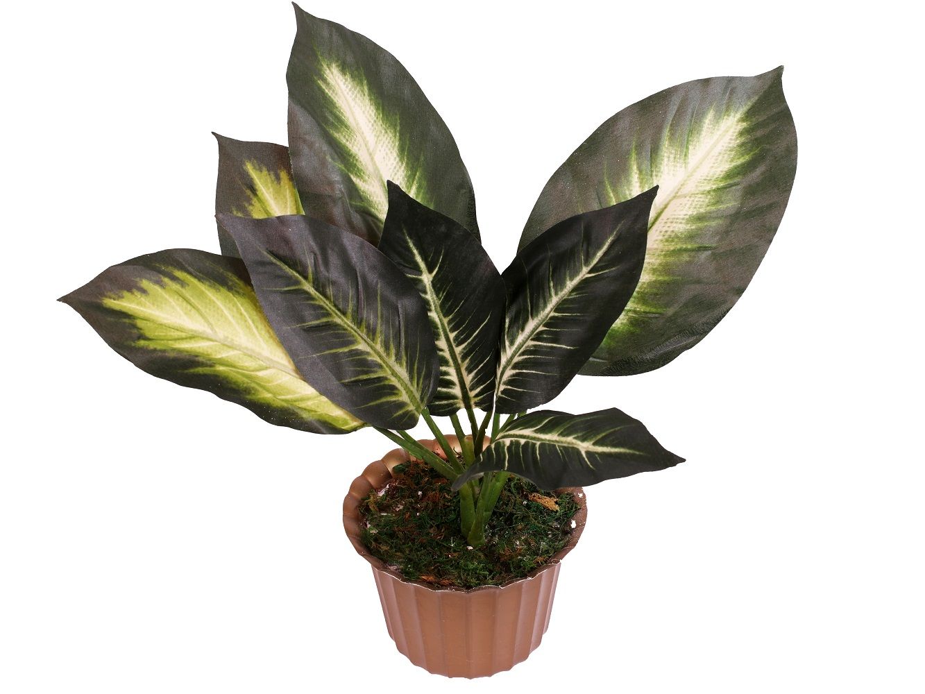 

Искусственные растения Диффенбахия, Зеленый, Л-20-17-4