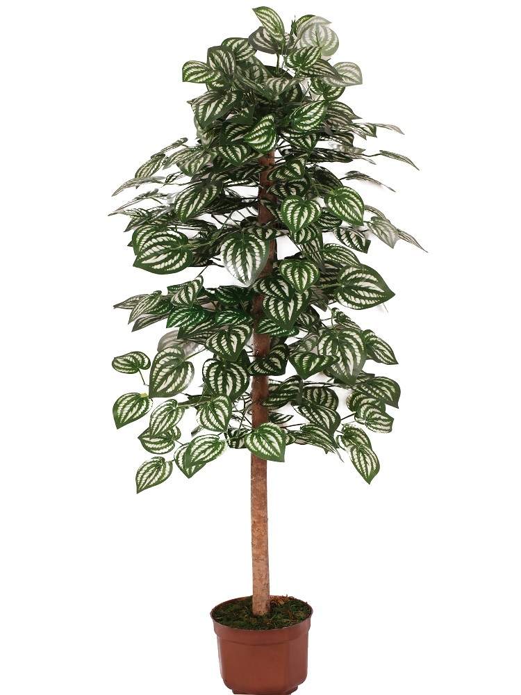 

Искусственное дерево Лиственное, Зеленый, А-43-00-4