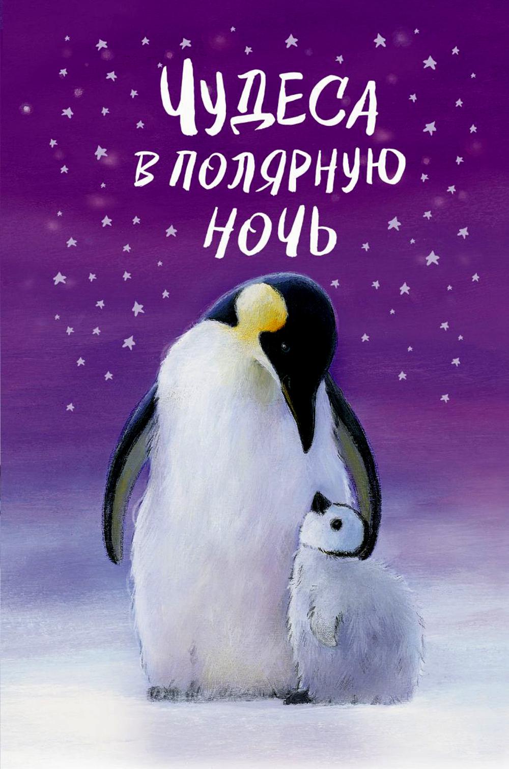 

Чудеса в полярную ночь