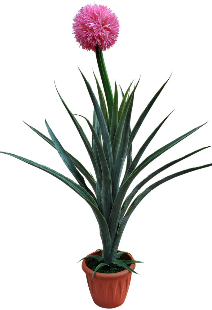 

Искусственные цветы Алоэ, Зеленый;розовый, Л-00-48