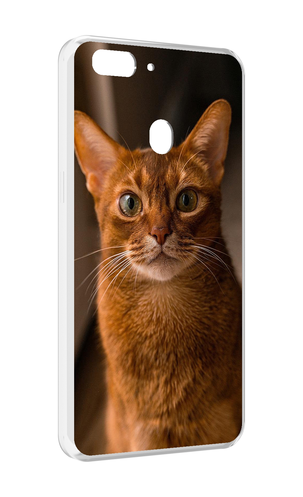 Чехол MyPads порода кошки абисинская для Oppo Realme 2