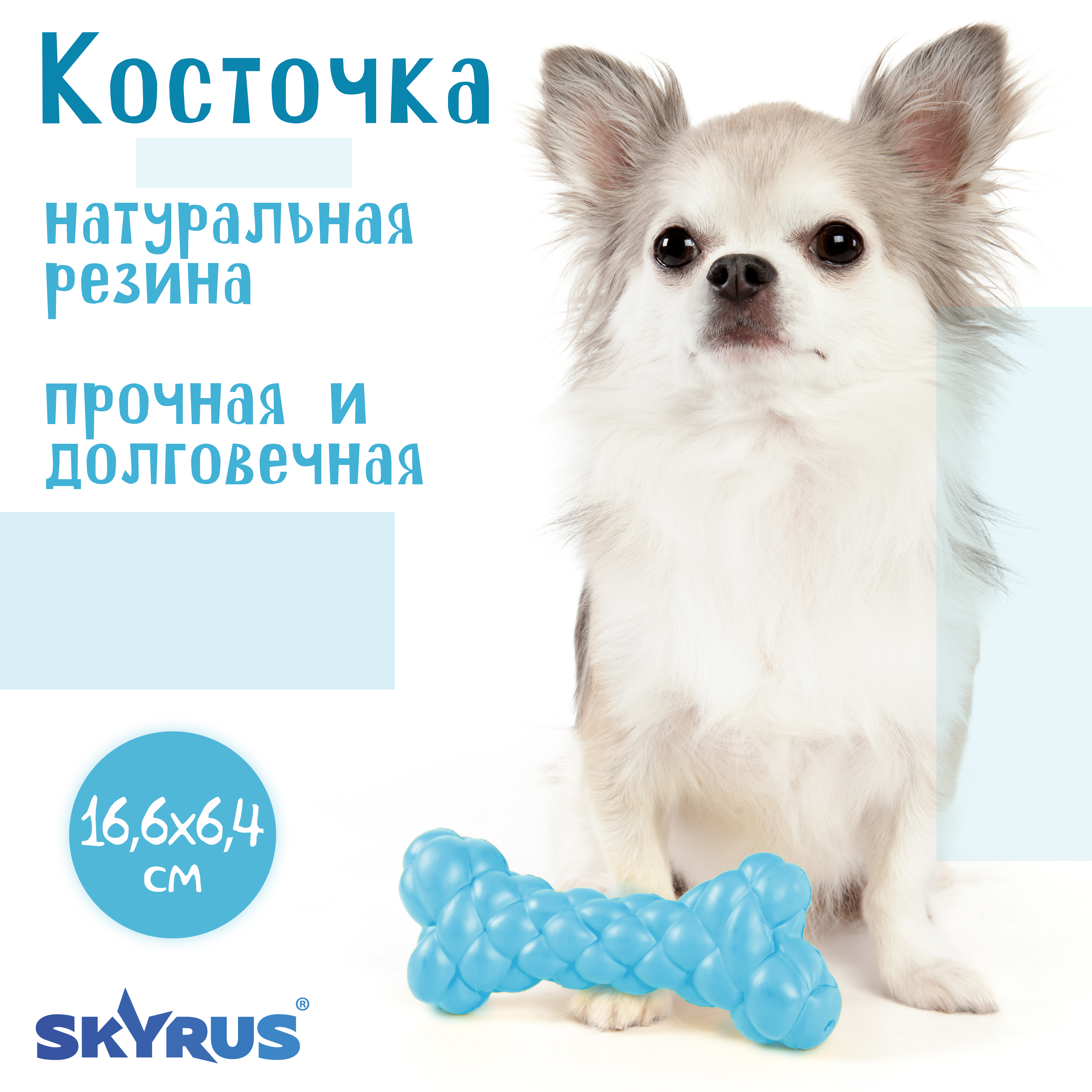 

Игрушка для собак SkyRus Косточка, резиновая, голубая, 16,6х6,4х3,7 см