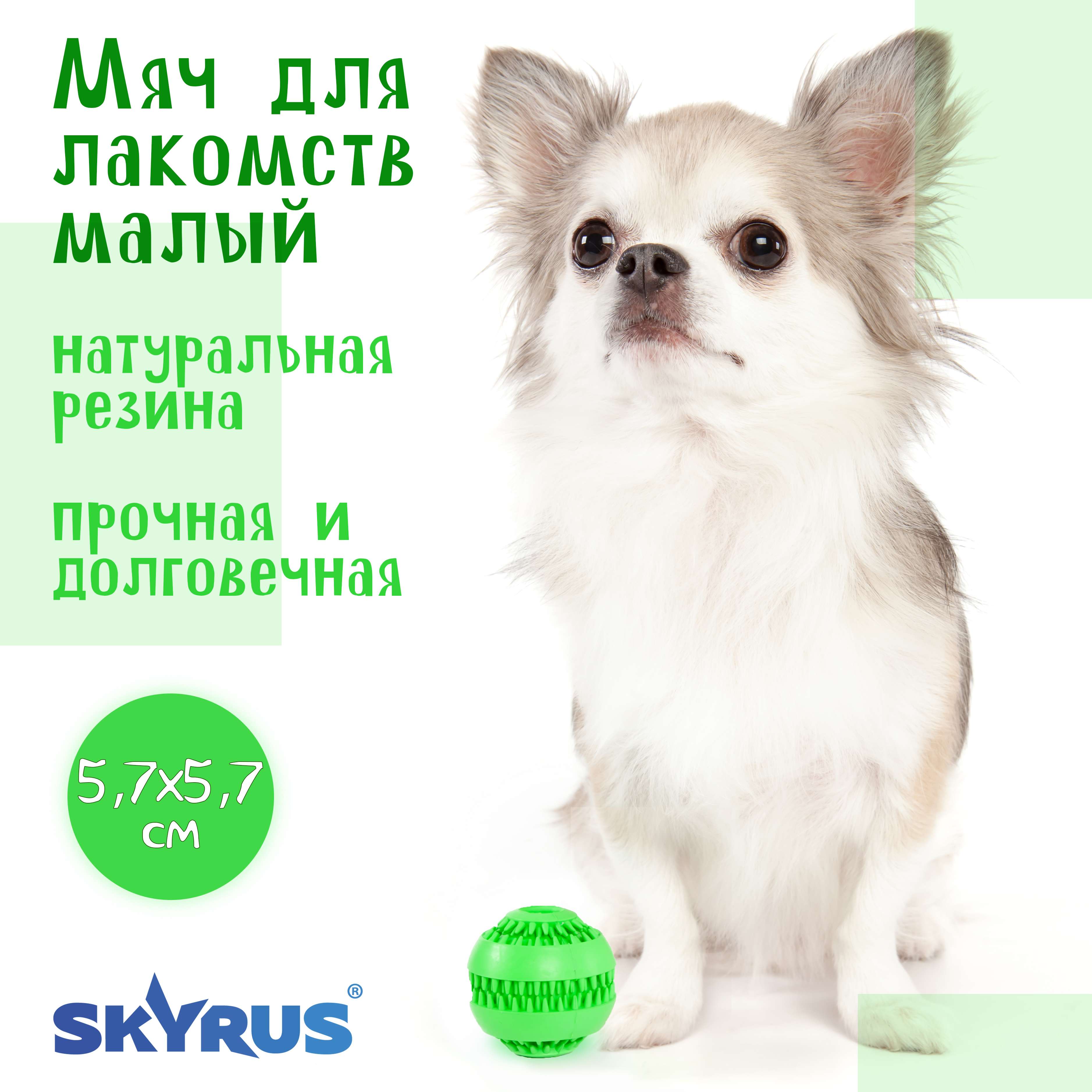 Игрушка для собак SkyRus Мяч для лакомств малый, зеленая, резина 5,7 см