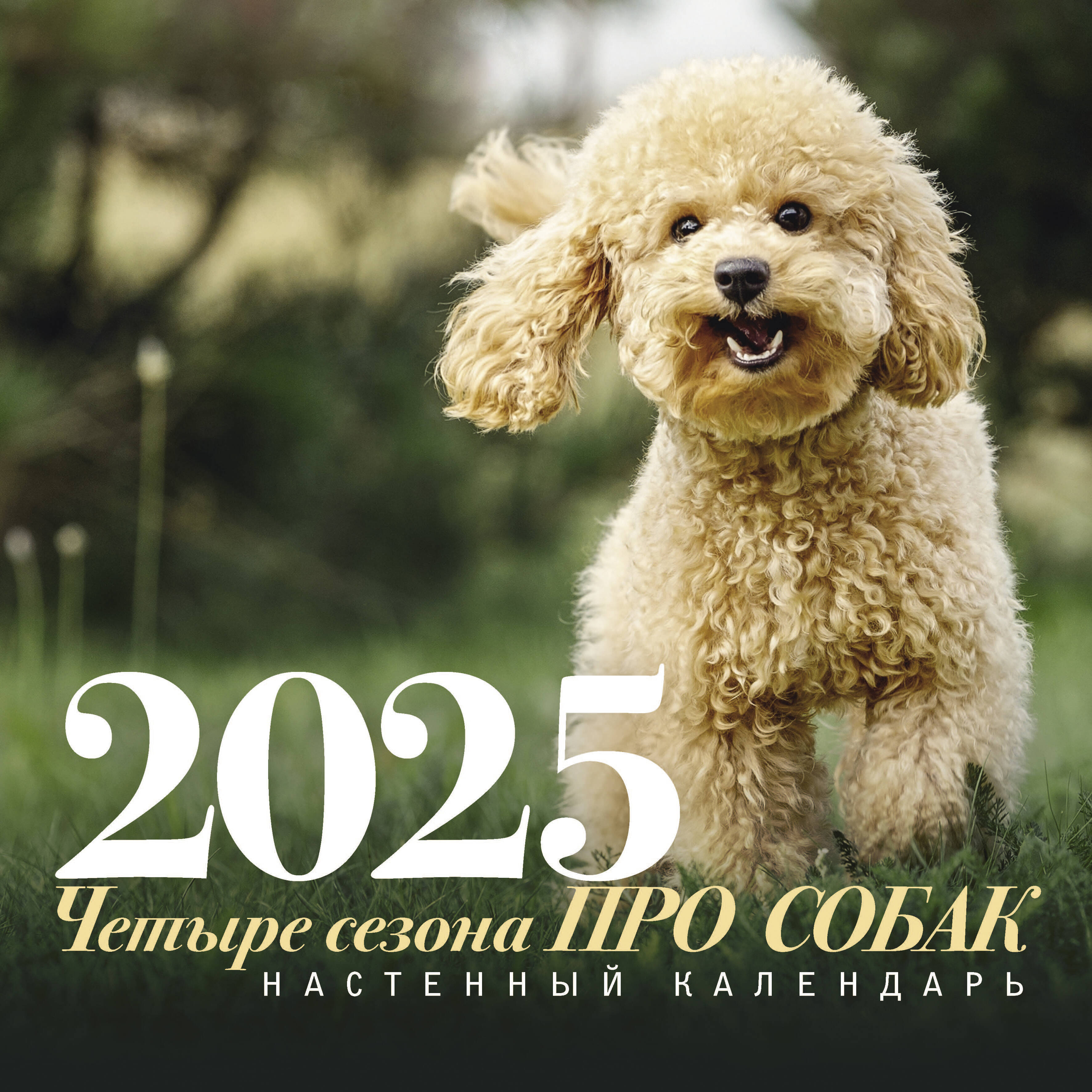 

Настенный календарь на 2025 год АСТ ПРО собак: четыре сезона
