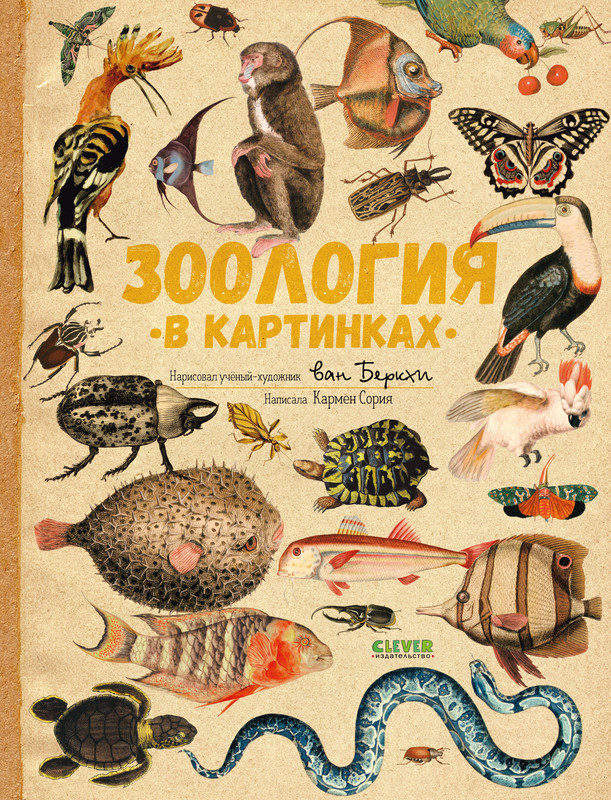 

Зоология в картинках
