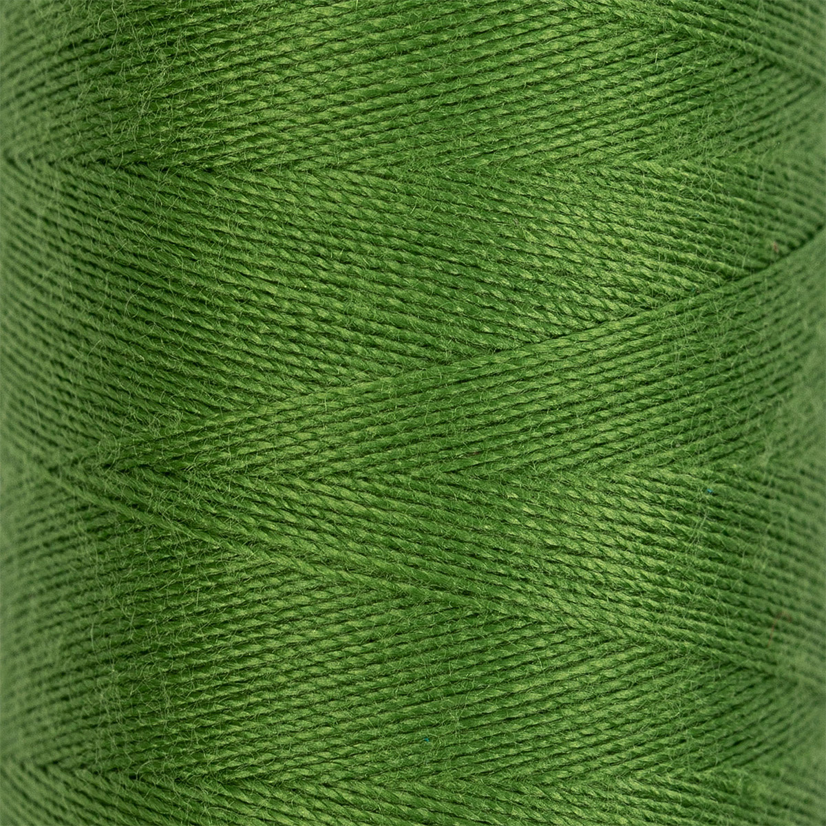 

Gamma (полиэстер), (201-300), 4570 м, №205 зеленый