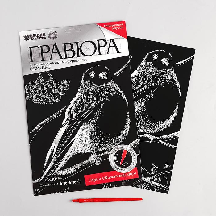 

Школа талантов "Снегирь", с металлическим эффектом серебра, А4, штихель